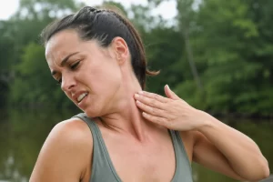 biting gnats