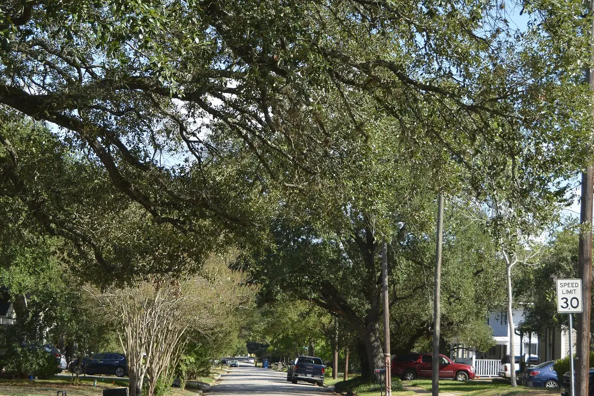 Established Bryan neighborhood shaded by mature trees