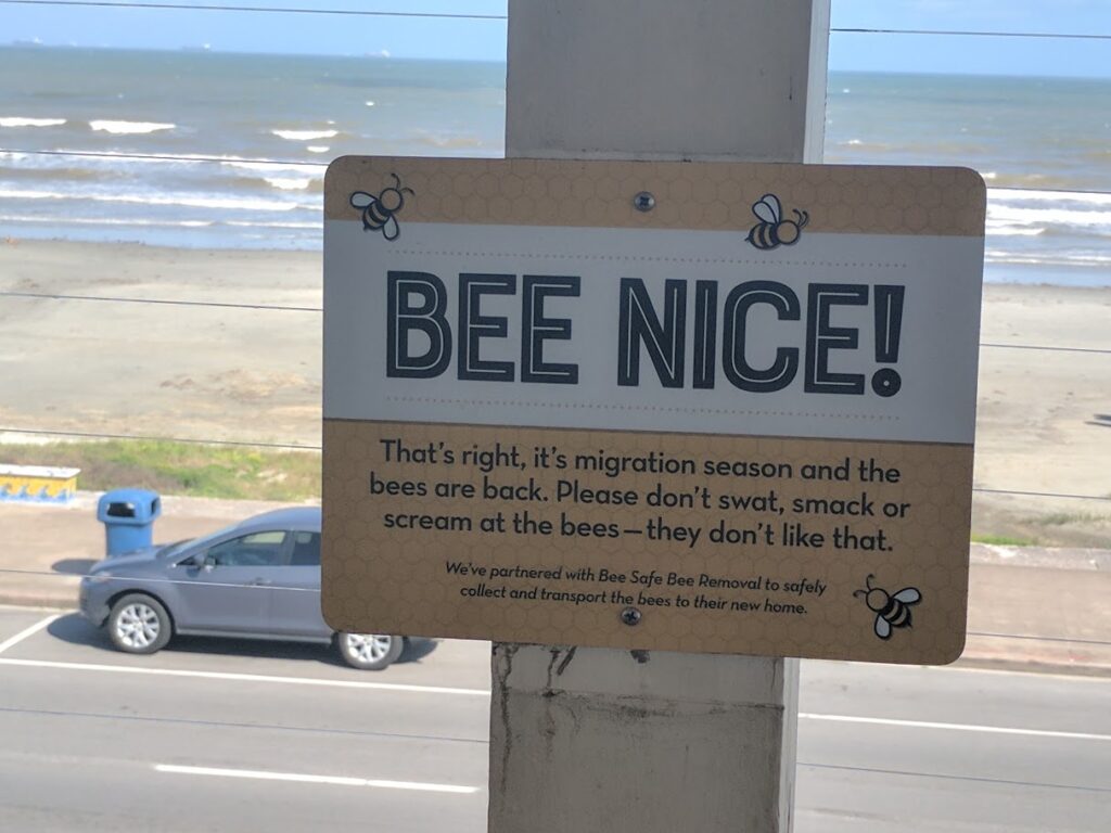 Bee Nice sign asking restaurant customers to avoid swatting visiting bees in Galveston, Texas