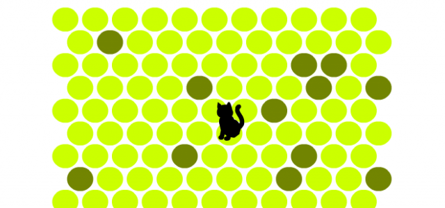 How To Catch (Or Save?) A Cat - Venus Pest Company