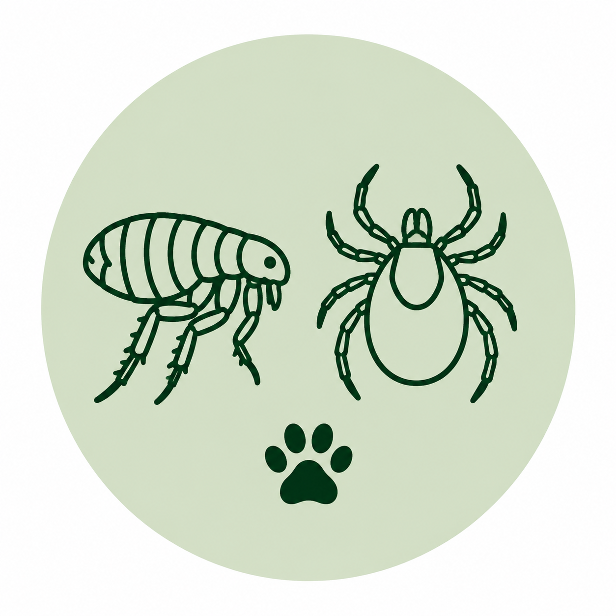 flea and tick control