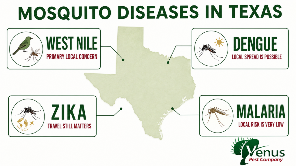Infographic comparing West Nile, dengue, Zika and malaria risks in Texas.