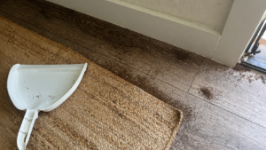 White dustpan beside piles of dead tawny crazy ants collected from a Wimberley Airbnb floor